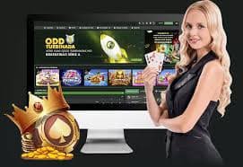 SGS55 Bingo – panduan cara main bingo online langkah demi langkah untuk pemula di platform SGS55 Indonesia